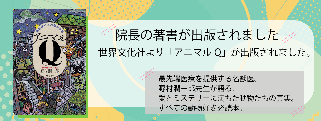 院長の著書が出版されました　世界文化社より「動物医の不思議な世界 アニマルQ」が出版されました