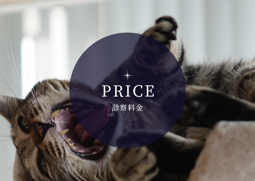 PRICE 診察料金