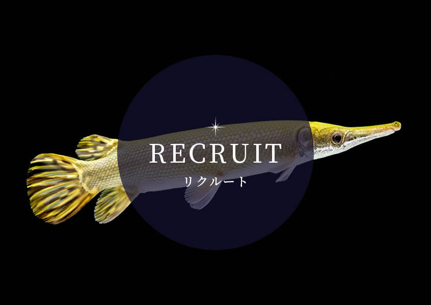 RECRUIT リクルート