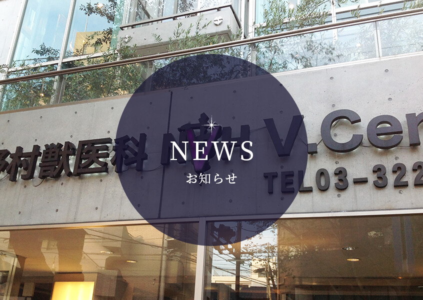 NEWS お知らせ