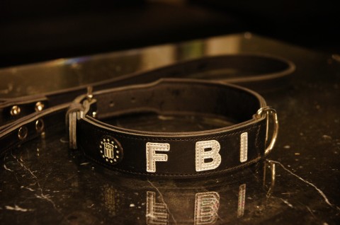 FBI